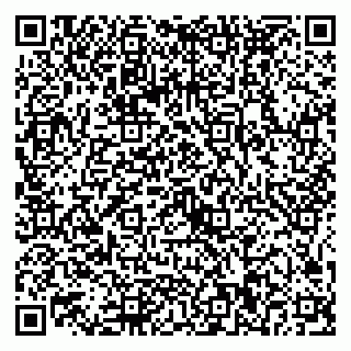 vCard 79025090381