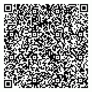 vCard 79025090382