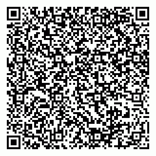 vCard 79025700029