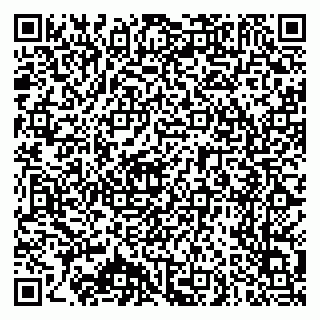 vCard 79025700228