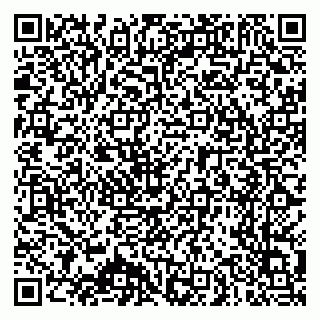 vCard 79025700290