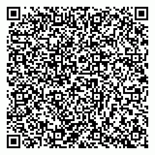 vCard 79025700295