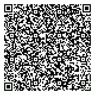 vCard 79025700299