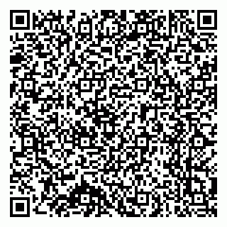 vCard 79025700303