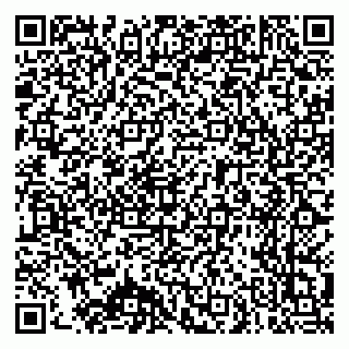 vCard 79025700313