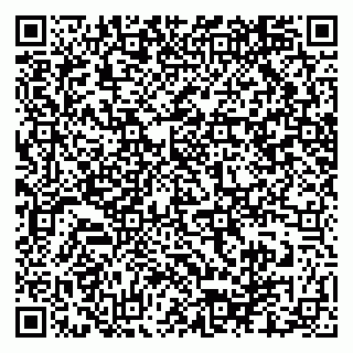 vCard 79025700329