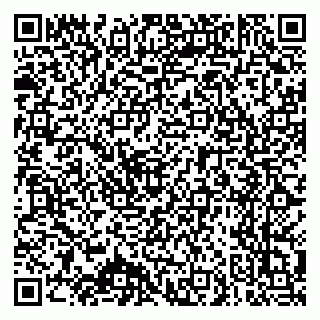 vCard 79025700333