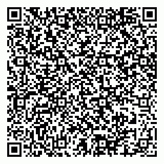 vCard 79025700381