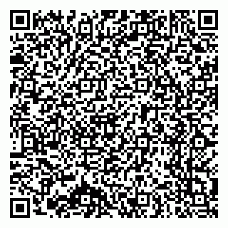 vCard 79025700387