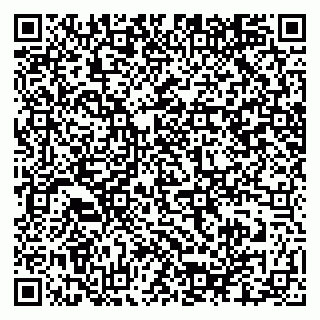 vCard 79025700389
