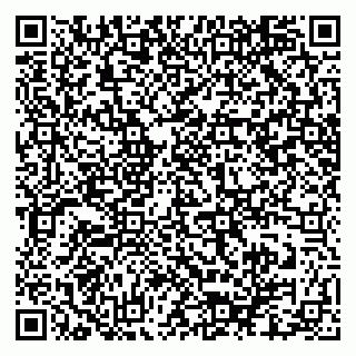 vCard 79025700390