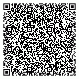 vCard 79025878153