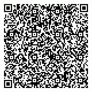 vCard 79025878274
