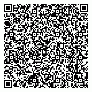 vCard 79026010033