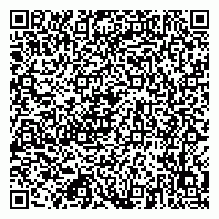 vCard 79026013233