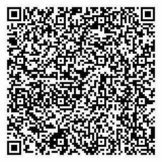 vCard 79026013531