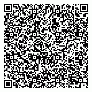 vCard 79026013733
