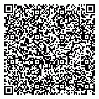 vCard 79026131173