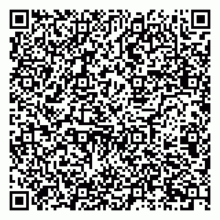 vCard 79026139297