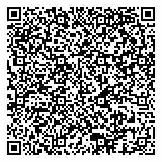 vCard 79026153003