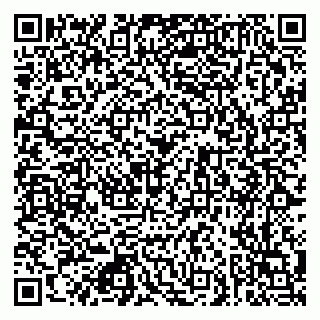 vCard 79026176032