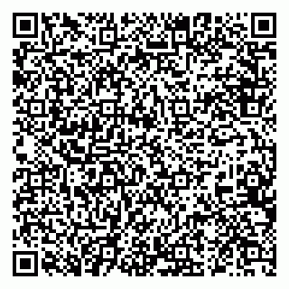vCard 79026215381