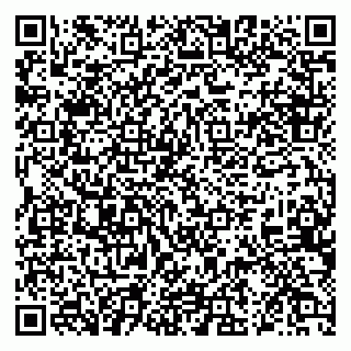 vCard 79026257333