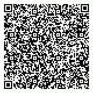 vCard 79026257339