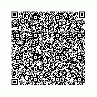 vCard 79026900531