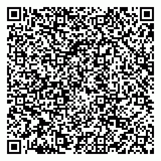 vCard 79026931733