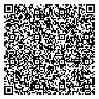 vCard 79027400013