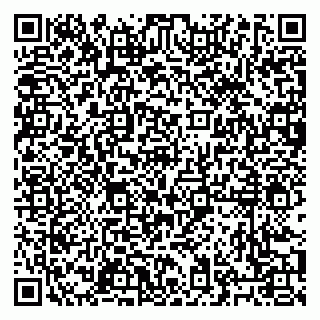 vCard 79027400033