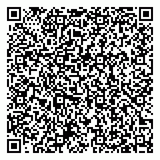 vCard 79027400082