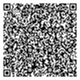 vCard 79027400099