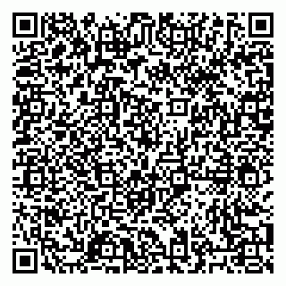 vCard 79027400159