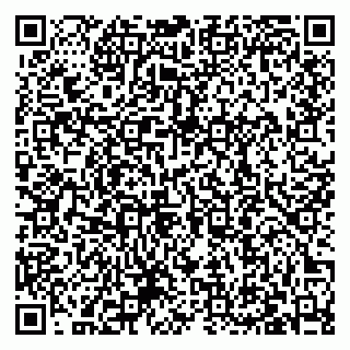 vCard 79027400163