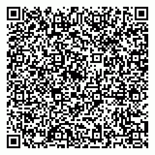vCard 79027400209