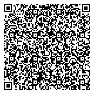 vCard 79027400211