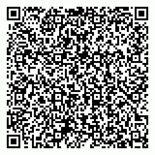vCard 79027400217