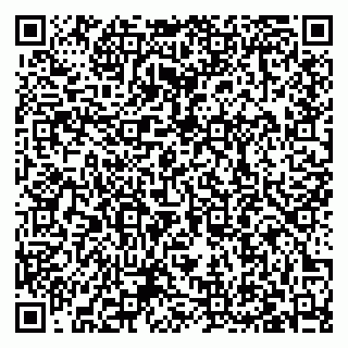 vCard 79027400299