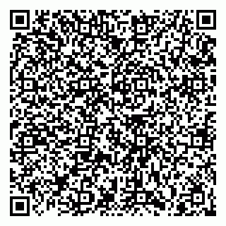 vCard 79027400306