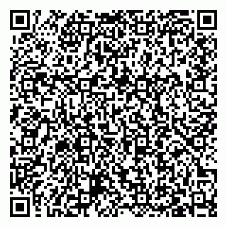 vCard 79027400311