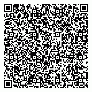 vCard 79027400313