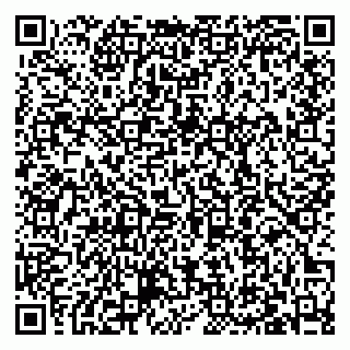vCard 79027400317