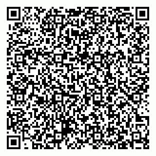 vCard 79027400318
