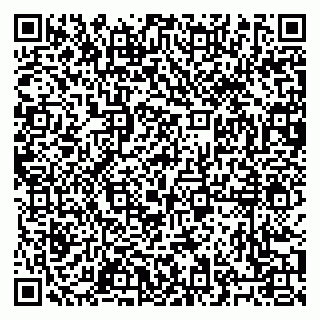 vCard 79027400331