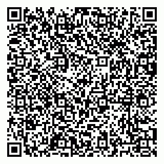 vCard 79027400335