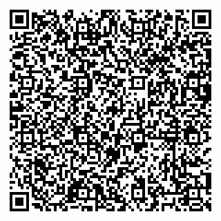 vCard 79027400339