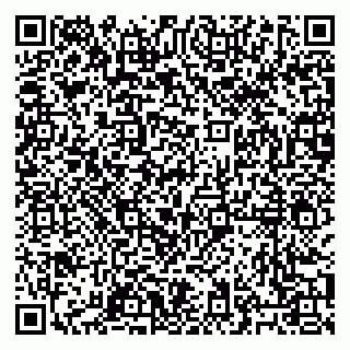 vCard 79027400379