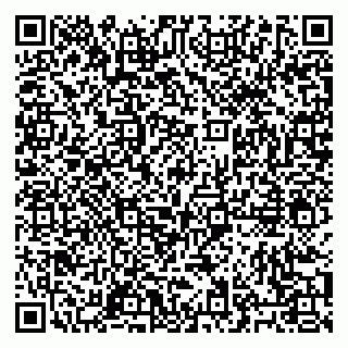 vCard 79027400381